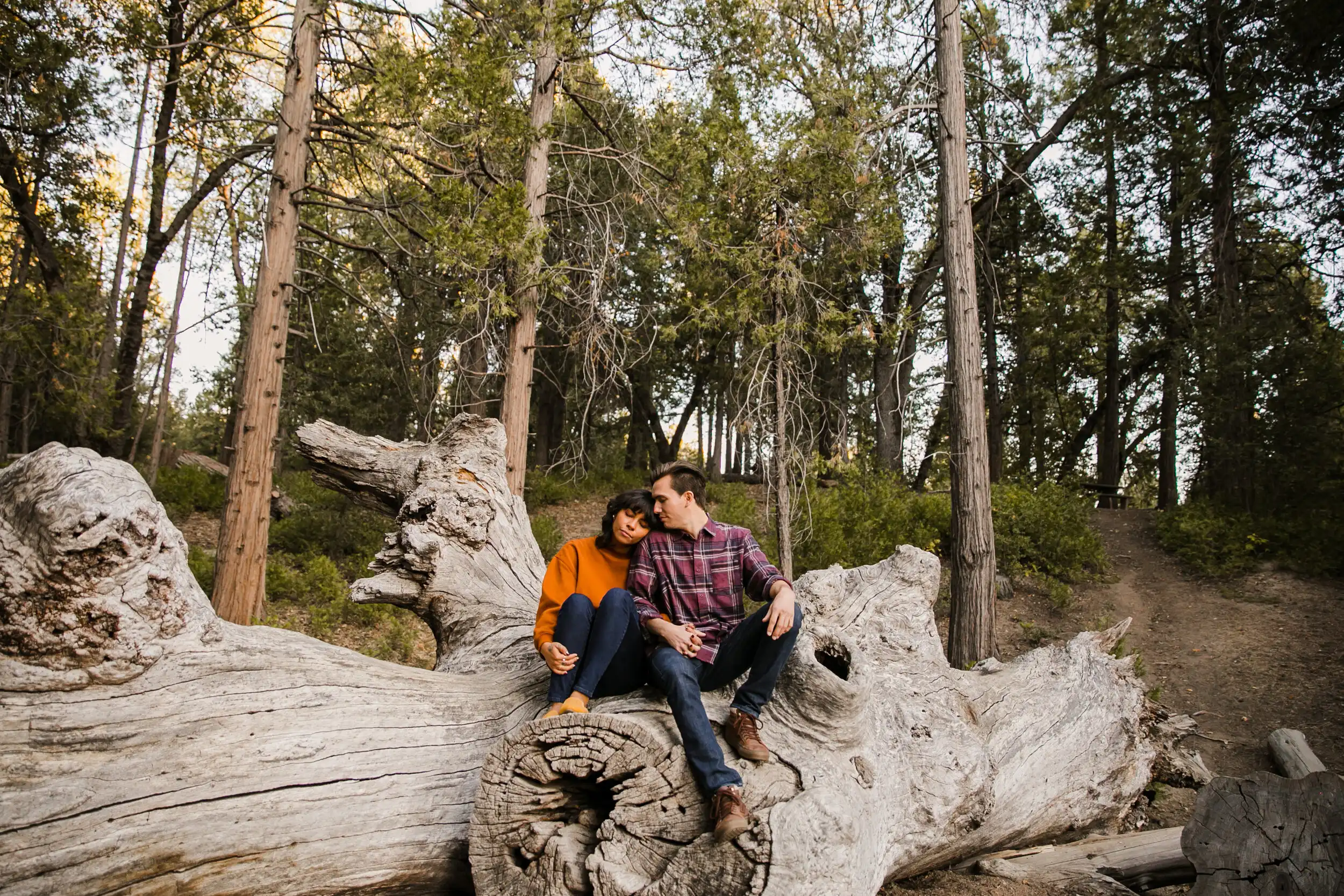 Winter Engagement Photos in Mount Palomar Mountains
