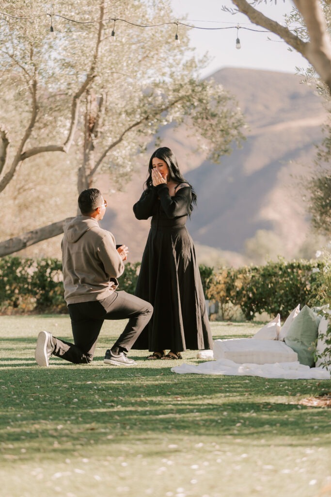 Proposal Photographer