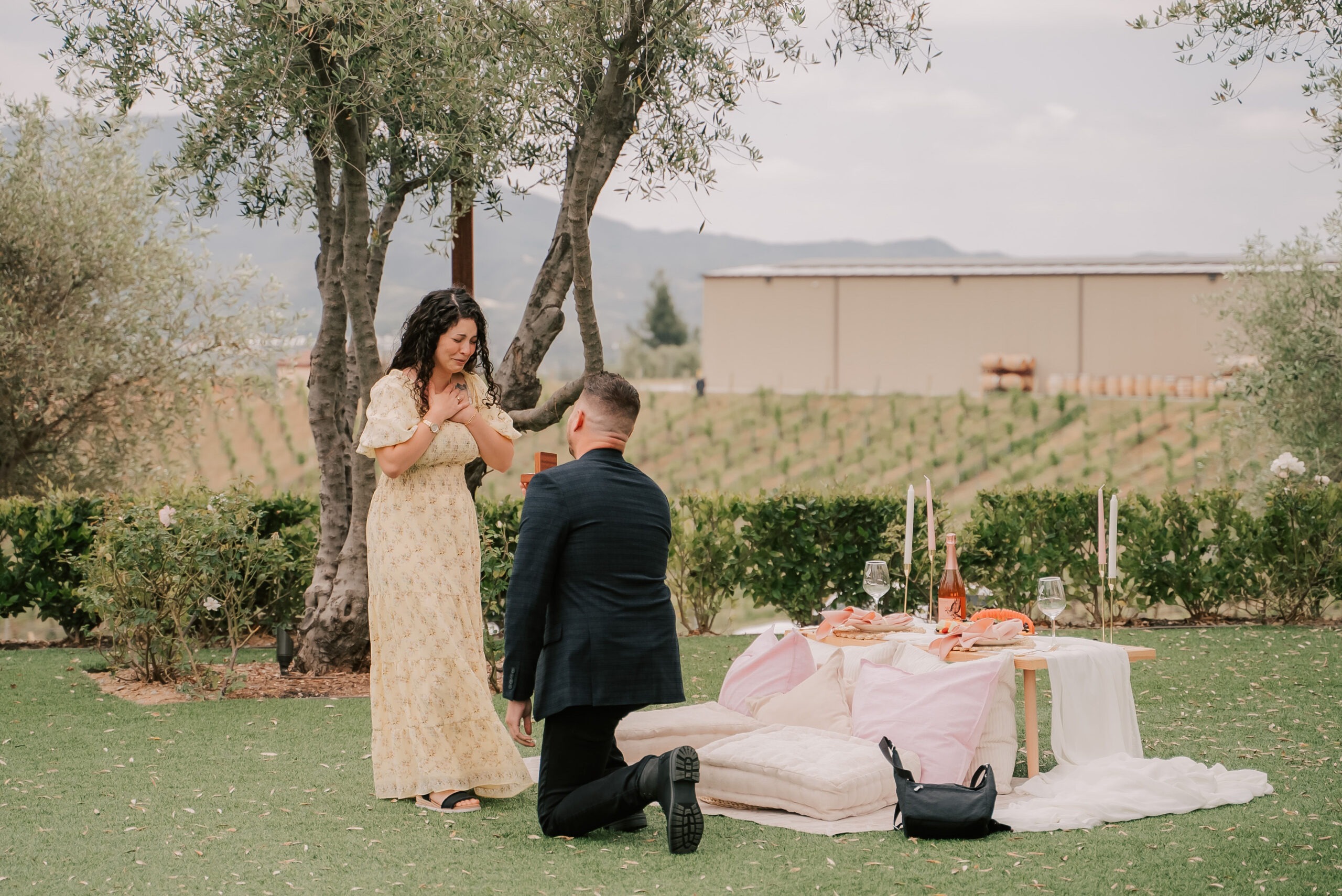 outdoor engagement photoshoot