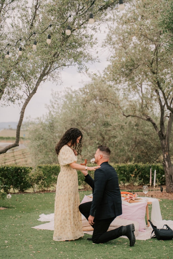 Perfect Engagement Photos