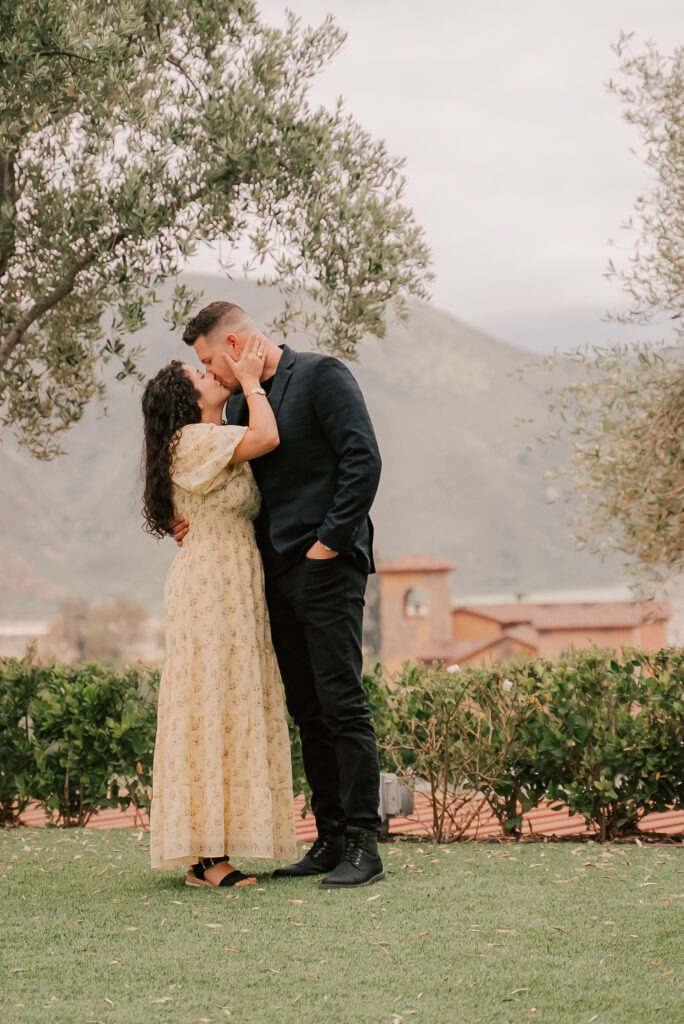 Perfect Engagement Photos