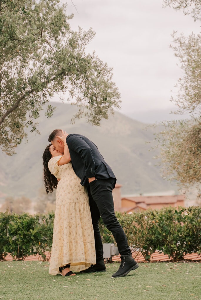 Perfect Engagement Photos