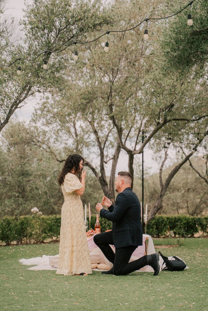 Perfect Engagement Photos